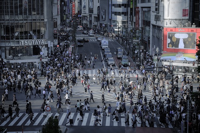 車の希望ナンバー 人気ランキングと抽選対象ナンバー一覧