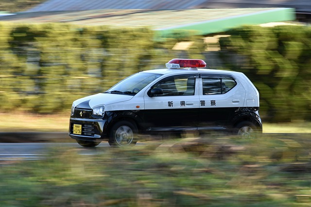 2021最新 車が鹿にぶつかった事故で車の修理代は車両保険から出る