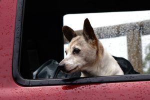 三井住友海上･新車割引･期間は何年･割引率･軽自動車